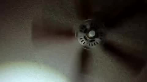 SNAP colesworld87 online show from 09-29-25, 03:11