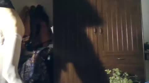 agua online show from 11-22-25, 11:04