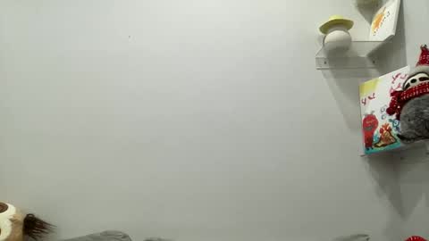 Aile online show from 12-29-24, 03:54