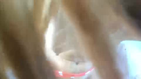 aisha_violeht online show from 02-25-26, 02:37