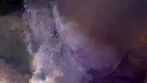 aj297914 online show from 10-18-25, 05:54