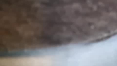 aj297914 online show from 02-17-26, 03:14