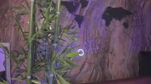 ALAHIA online show from 01-13-26, 05:18