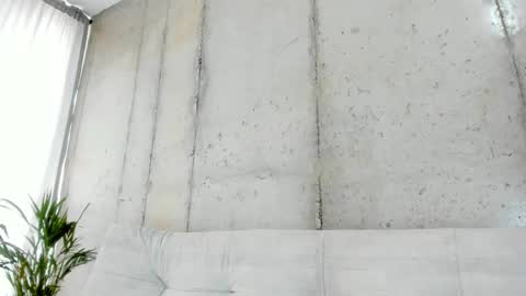 Alan greek online show from 02-14-25, 01:29