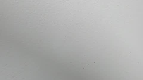 Alejandra online show from 11-14-25, 01:37