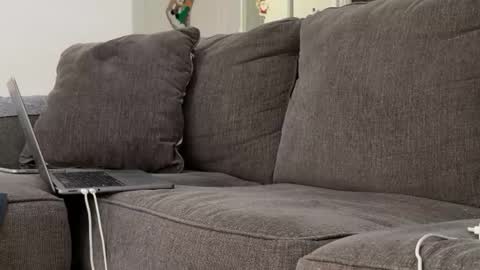 Snapshot of alex_ruiz_ chatting on 11-03-25, 06:53 Alex online show from 11-03-25, 06:53