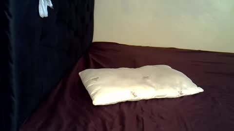 Snapshot of alexa_foxxie chatting on 12-23-24, 06:27 Alexa online show from 12-23-24, 06:27