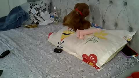 Snapshot of alexa_foxxie chatting on 02-16-25, 03:05 Alexa online show from 02-16-25, 03:05