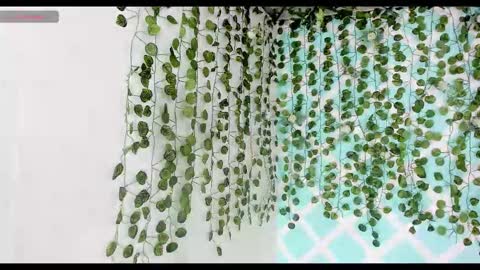 chicos hot online show from 11-18-25, 02:21