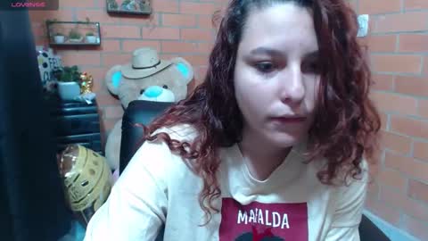 Snapshot of alexatai chatting on 10-25-25, 04:42 alexatai online show from 10-25-25, 04:42