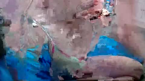 Doggystyle online show from 12-25-24, 06:52