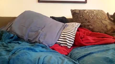 Snapshot of alexinside_you chatting on 10-20-25, 12:33 Alexinside you online show from 10-20-25, 12:33