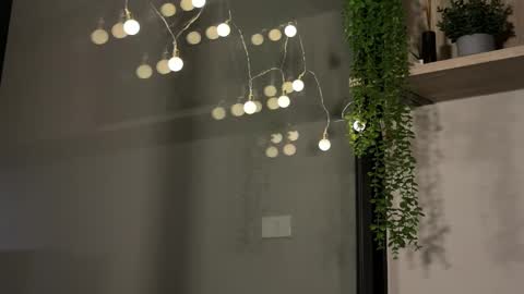 Alex online show from 01-23-25, 06:17