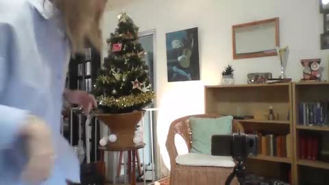 Alice online show from 12-17-24, 02:55