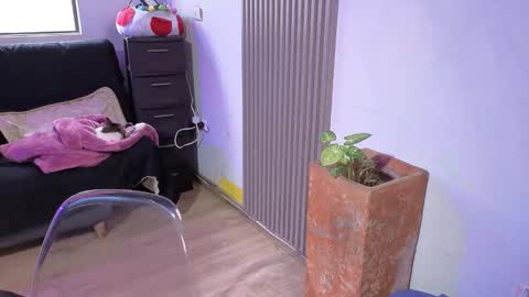 Alice online show from 12-18-25, 01:39