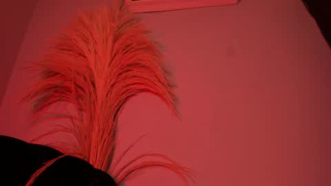 ALICE  online show from 10-25-25, 03:14