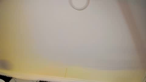 Snapshot of alicepoixxxon chatting on 02-18-26, 06:53 ALICE online show from 02-18-26, 06:53