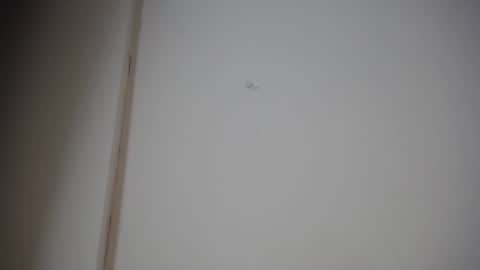Ali online show from 01-10-25, 12:15