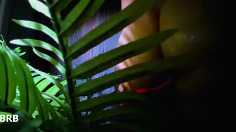 Alicia Lici  online show from 01-02-25, 10:48