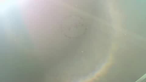 ALISON WOOD online show from 11-17-25, 03:07