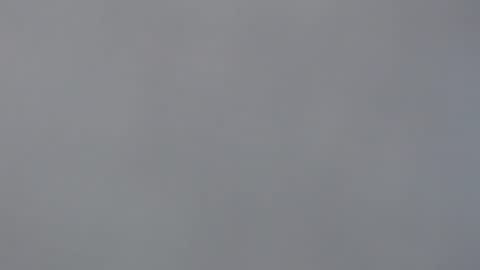 Snapshot of aliuno12345678 chatting on 12-29-24, 12:34 aliuno12345678 online show from 12-29-24, 12:34