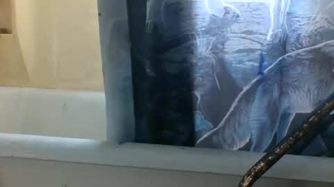 allwolf0323 online show from 11-06-25, 03:24