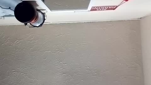 almightyjesos online show from 10-30-25, 07:14