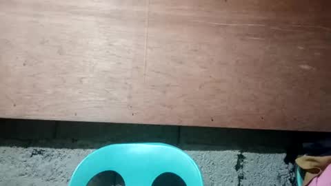 altheahot_asian online show from 12-19-24, 11:57