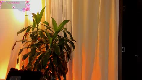 Snapshot of amatistahot1 chatting on 10-11-25, 11:25 Amatista online show from 10-11-25, 11:25