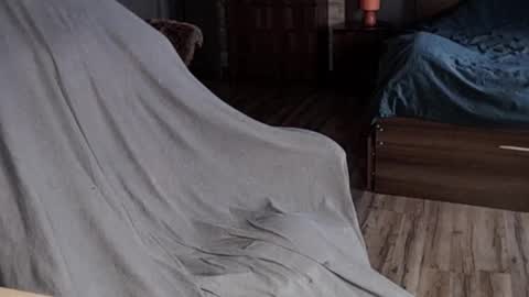 Malina online show from 01-13-25, 08:05