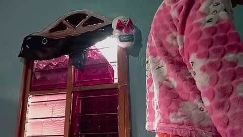 Amelia  Lucas online show from 11-14-25, 03:44