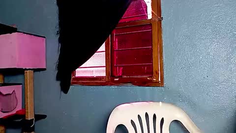 Amelia  Lucas online show from 11-17-25, 03:18