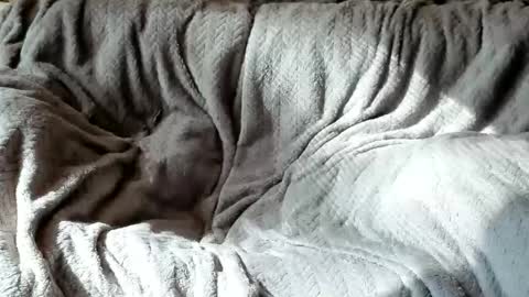 Olive  Walter online show from 10-24-25, 05:42