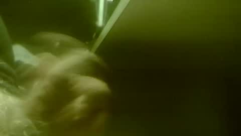 amolafica12 online show from 11-20-25, 08:03