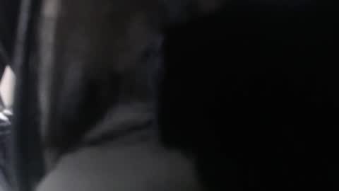 miss unforgettable online show from 03-24-26, 11:15