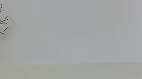 Snapshot of anaid_blaze2 chatting on 11-10-25, 01:54 anaid_blaze2 online show from 11-10-25, 01:54