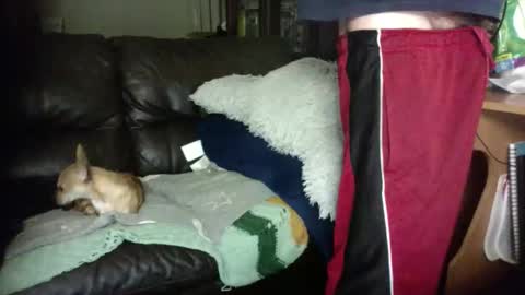 anal_king666 online show from 01-12-26, 01:33