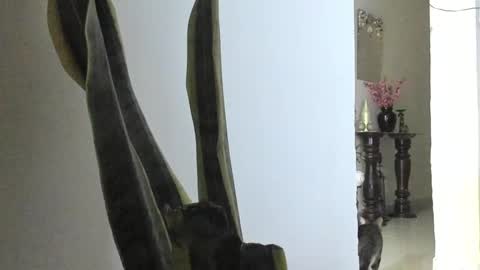 Ana Pakerman online show from 03-09-25, 12:42