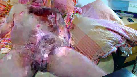 Snapshot of andi84k chatting on 11-20-25, 04:34 Andi online show from 11-20-25, 04:34