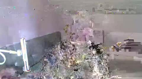 Andorphin online show from 01-06-25, 12:24