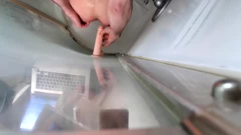 andybadass online show from 03-10-25, 12:37