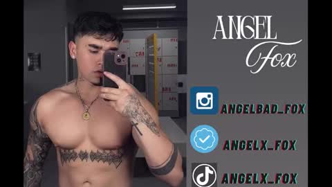 Angel Fox online show from 11-13-25, 08:41