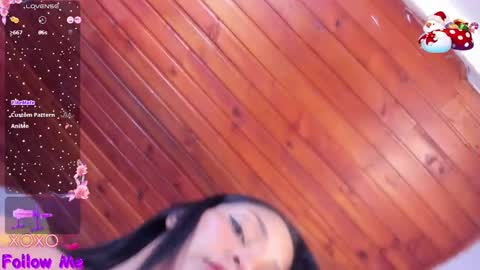 Anggi  online show from 12-29-24, 01:28