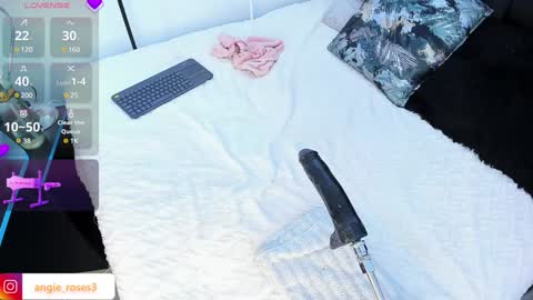 Snapshot of angiee_roses chatting on 12-14-24, 08:02 angiee roses online show from 12-14-24, 08:02