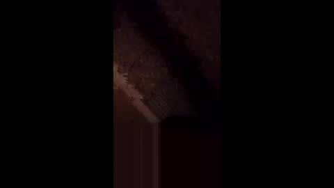 anniebunni online show from 02-16-26, 05:36