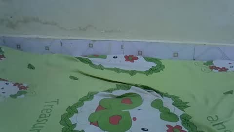 annual_lover online show from 11-20-25, 06:40