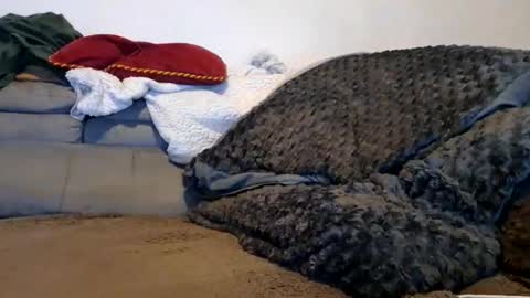 Snapshot of anonymousex15 chatting on 11-30-25, 12:42 anonymousex15 online show from 11-30-25, 12:42