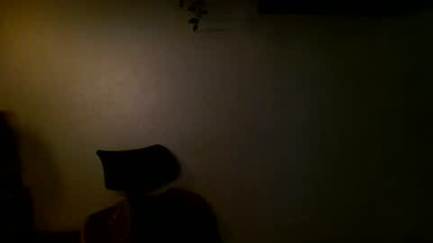 Snapshot of anthonym3 chatting on 12-11-24, 04:31 Ant online show from 12-11-24, 04:31