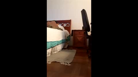 antonino85 online show from 02-20-26, 09:48