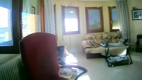 Antonio online show from 01-13-25, 11:19